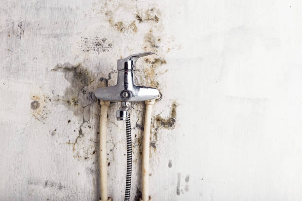 Mold Testing and Removal in Hershey, PA