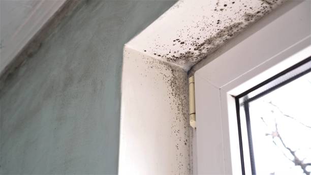 Water Damage Restoration in Hershey, PA