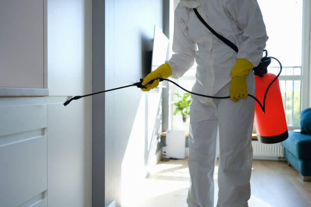 Best Professional Mold Removal  in Hershey, PA