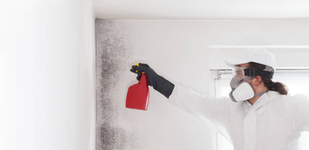 Best Office Mold Removal Services  in Hershey, PA