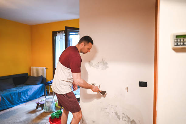 Crawl Space Mold Removal in Hershey, PA