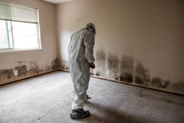Best Mold Remediation Services  in Hershey, PA